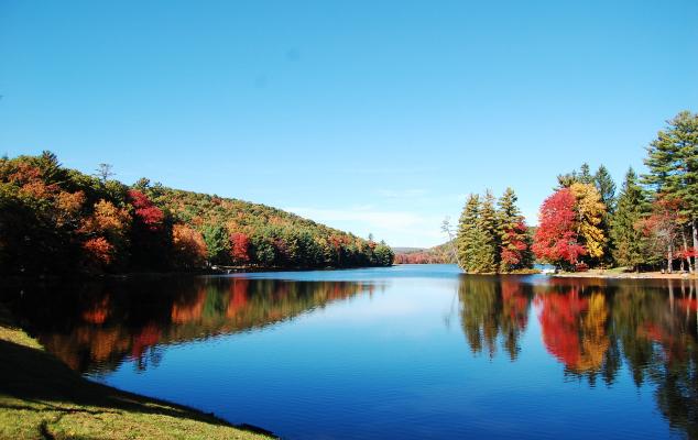 Pennsylvania Lake Management Society (PALMS or PA Lakes)